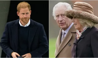 Did Prince Harry Leave UK Early After Meeting King Charles III Due To Queen Camilla's 'Outrage'? Here's What We Know