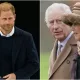 Did Prince Harry Leave UK Early After Meeting King Charles III Due To Queen Camilla's 'Outrage'? Here's What We Know